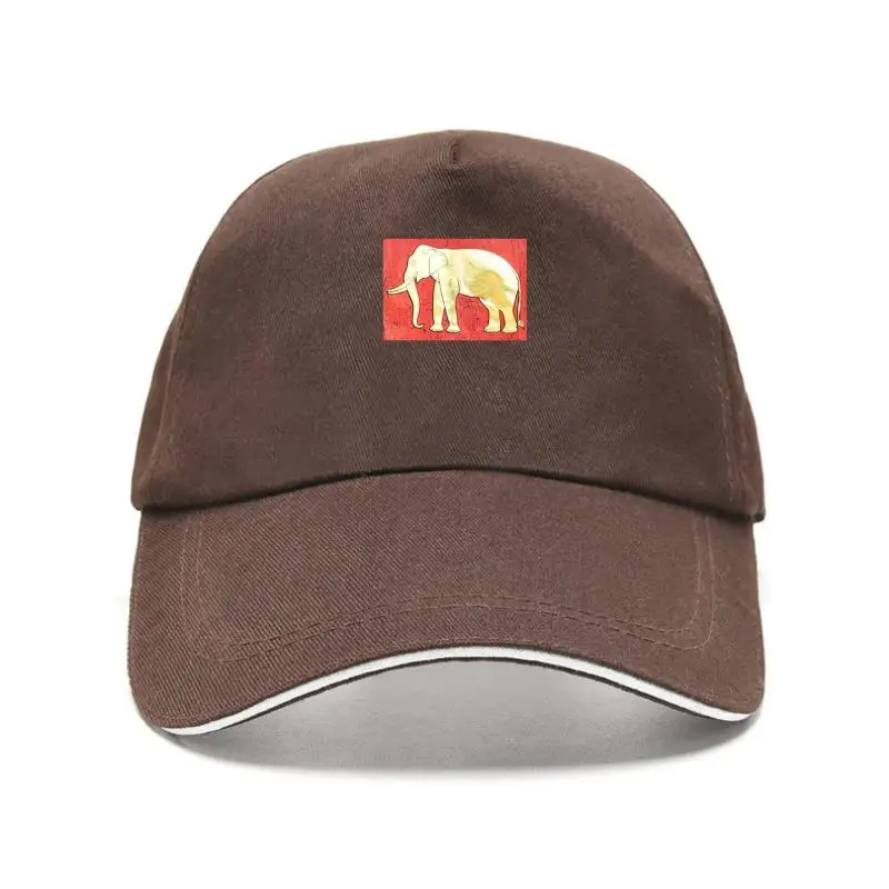 

Новая бейсболка Roya Eephant creen с принтом T, бейсболка, бейсболка