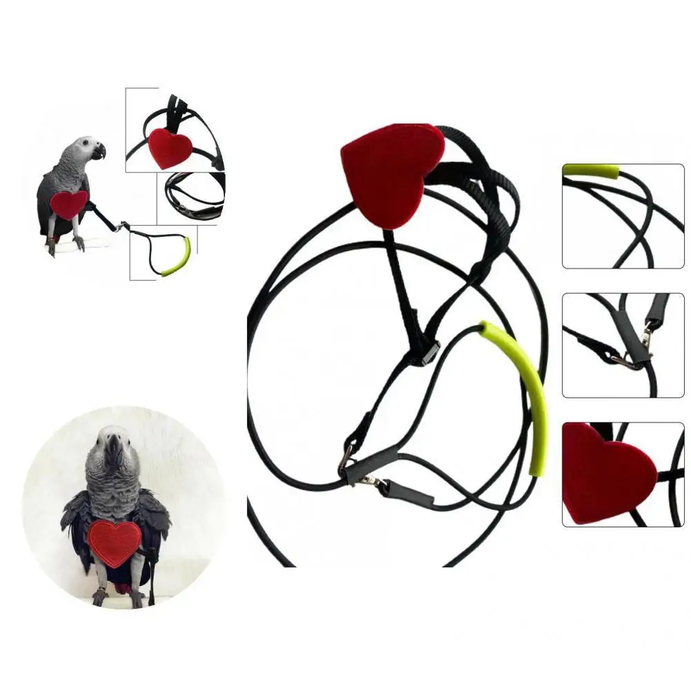 

Highly Elastic Portable Anti-Bite Bird Harness Traction Rope for Camping