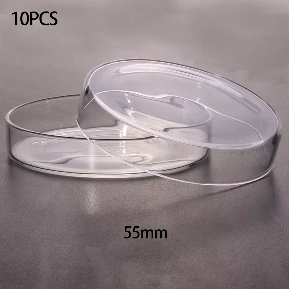 

55mm Lab Supply 10pcs High Quality Polystyrene Fragile Crisp Clear Petri Dishes Sterile Chemical Instrument Affordable For Cell