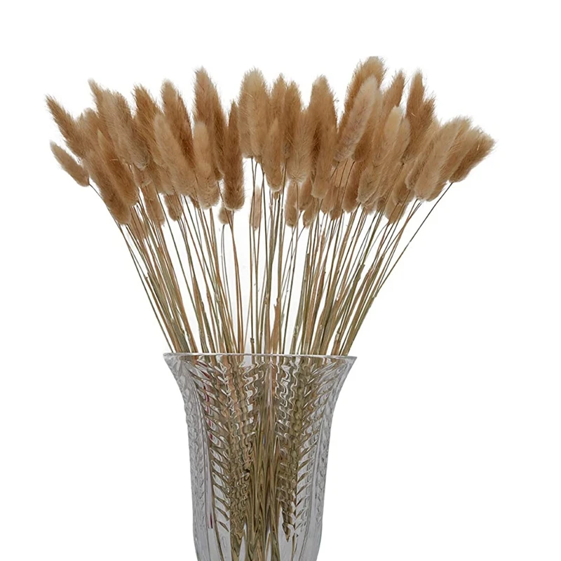 

100 Stems Natural Dried Bunny Tail Grass, Rabbit Tail Grass, For Home Decor, Small Pampas Grass For Boho Decor, Wedding