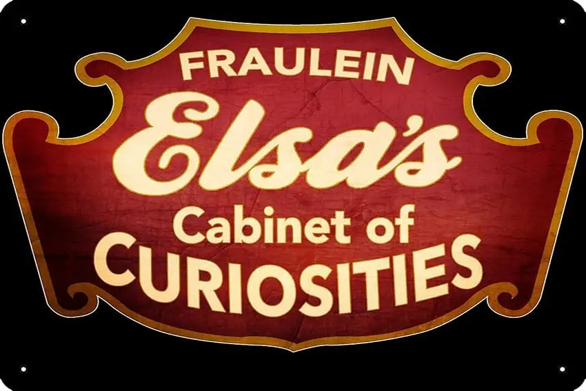 Женский шкаф Эльзы с фотографическим принтом 8x12 дюймов