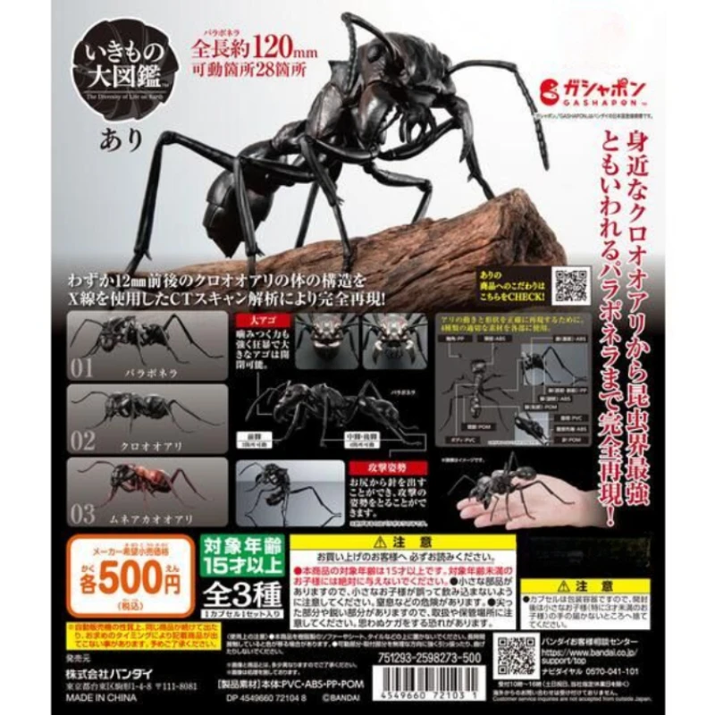 

Original Capsule Toys Kawaii Simulation Ants Insect Miniature Models Action Figure Gifts