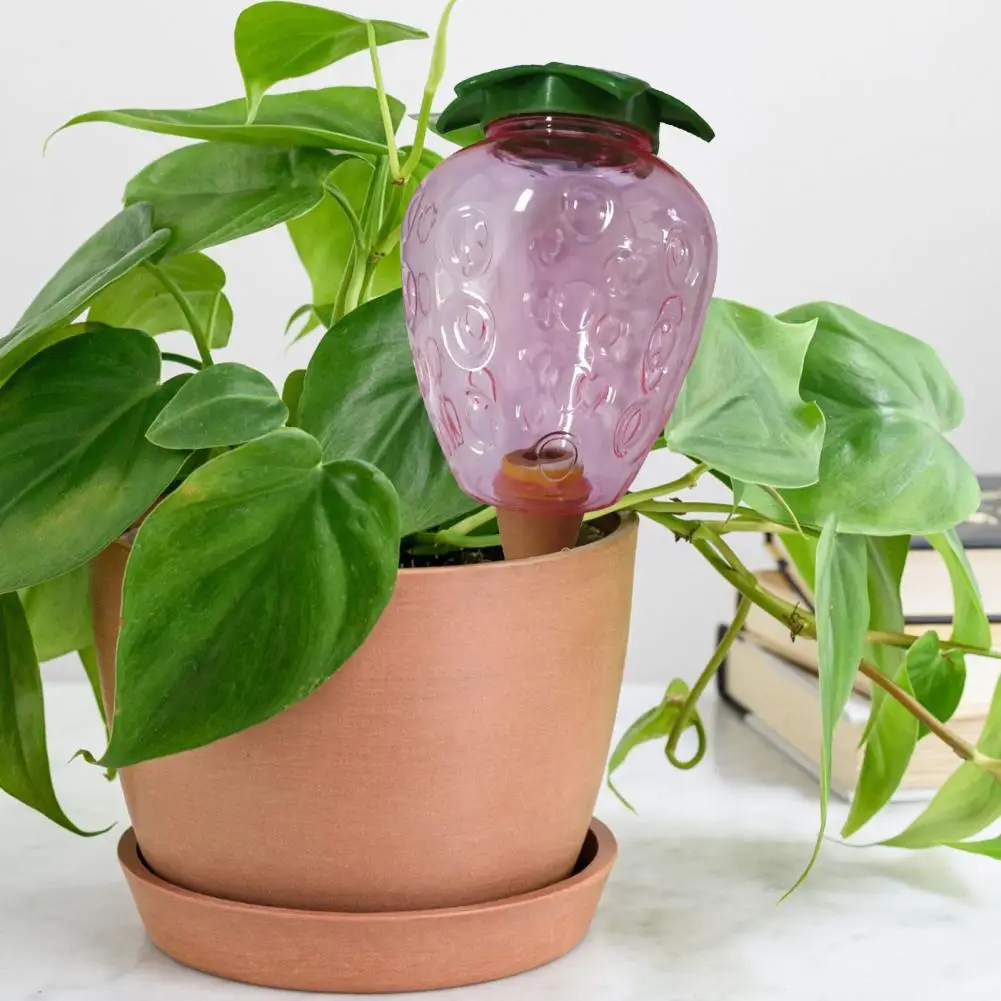 

Полив капельницы, привлекательная фотография, Легкая заправка, экономия труда, большие сосуды для полива растений