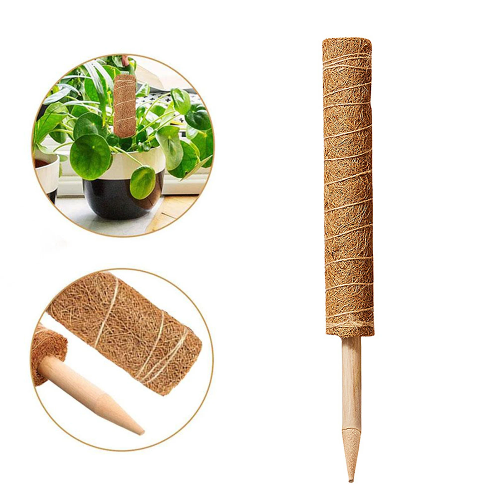 

Plant Supporting Trekking Pole Sticks Sustainable Organic Materials for Climbing Plants Growth Gardening Accessories