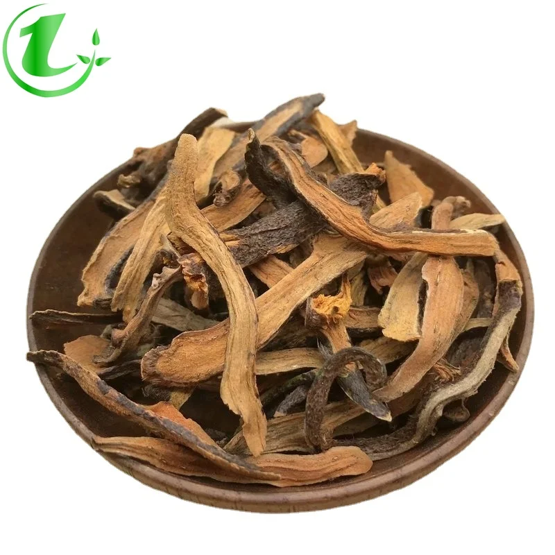 

Wild Rhizoma Drynariae; Invigorating The Kidney; Promoting Blood Circulation and Removing Blood Stasis; Dispelling Rheumatism