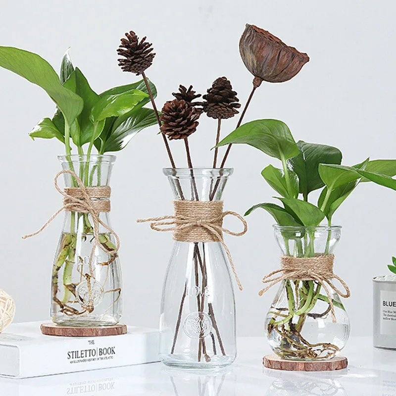 

Dry Vase Transparent Glass Vase Nordic Ornaments Flower Rope Hydroponic Plant Vase
