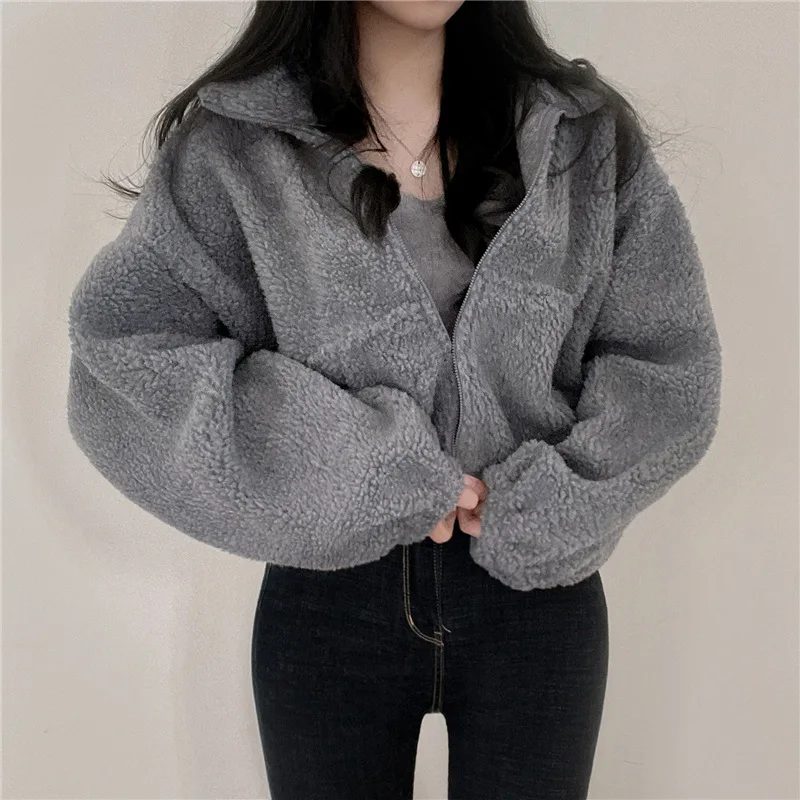 

Short Stand Collar Warm Imitation Lamb Wool Coat Female Autumn And Winter New Loose Zipper Cardigan Korean Style Blouse