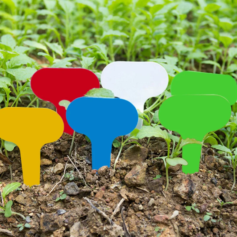 

100PCS Multi-meat Plant Label T-type Plastic Nursery Tray Nursery Garden Plant Label Flower Label In The Ground Card