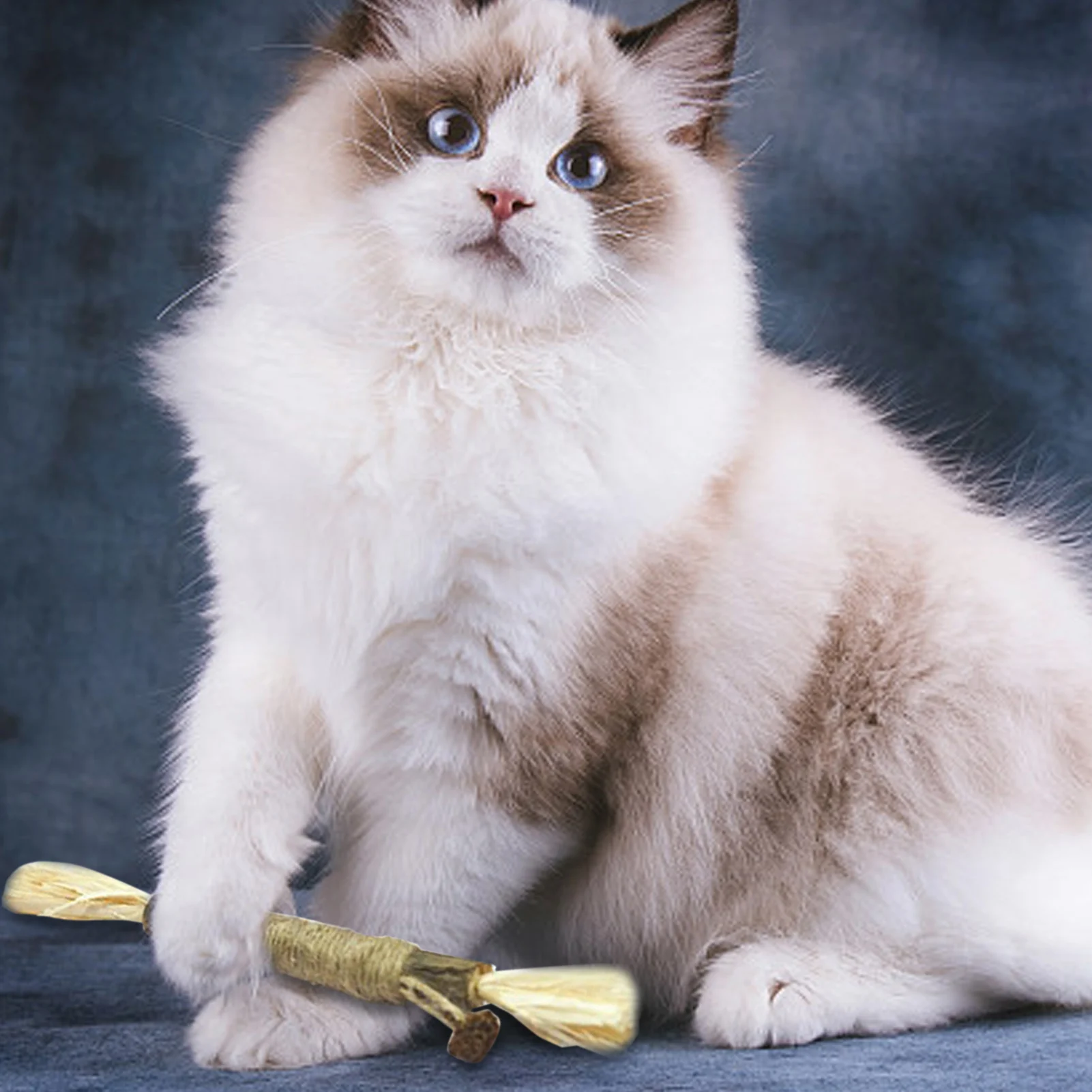 

Зубная палочка для кошек, интересная палочка для кошек, палочка для насекомых, разноцветная Полигональная палочка, палочка для укусов