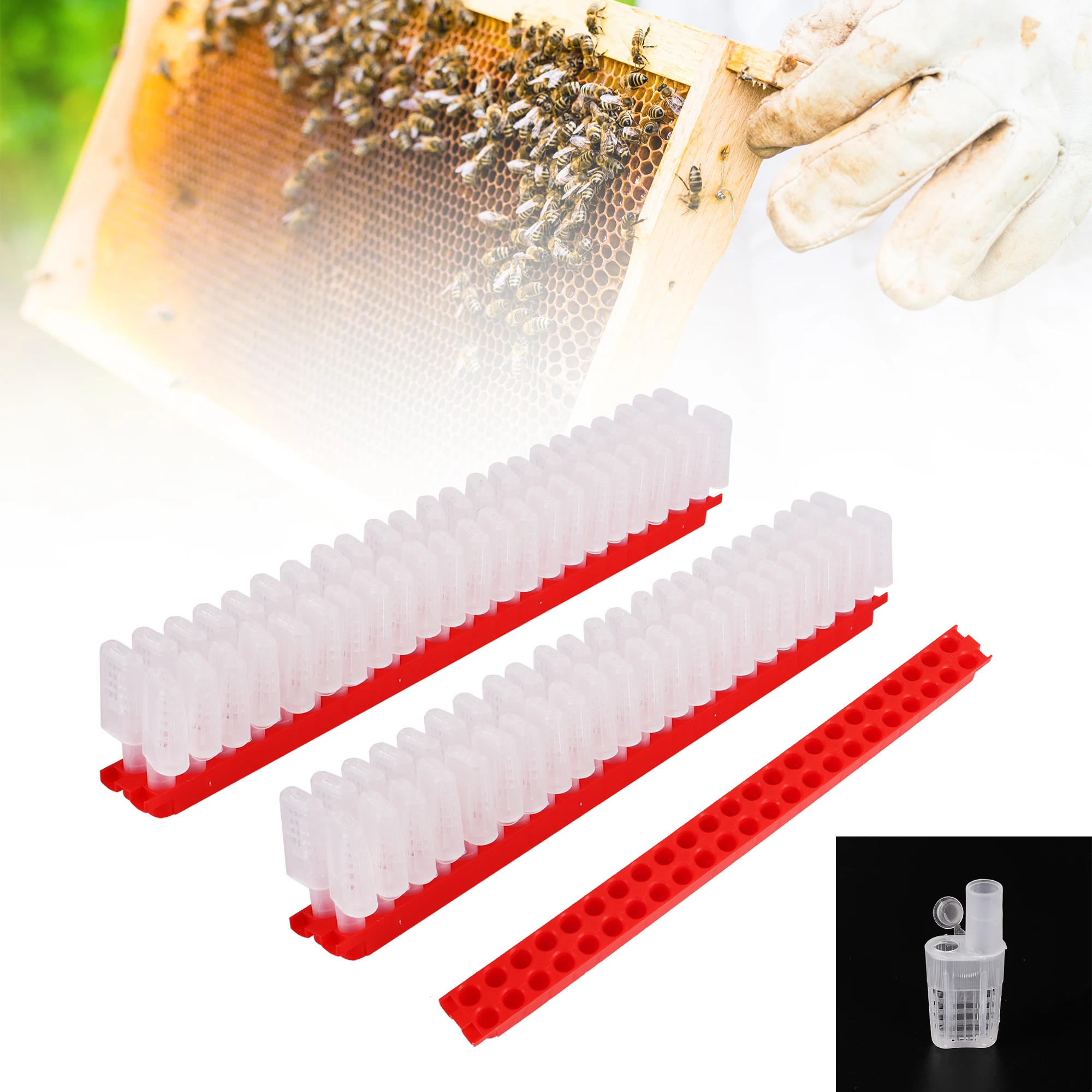 

Новый дизайн, королевская планка для транспортировки, свободно движущиеся насекомые, пластиковый заключенный, защита сельскохозяйственной фермы, принадлежности для пчеловодства