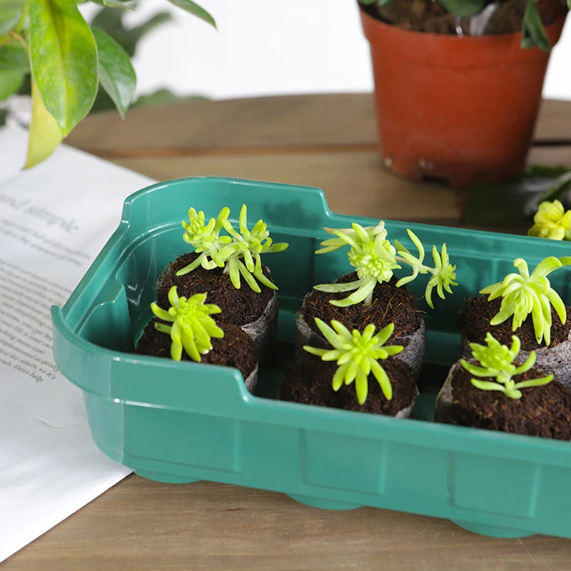 

Пластиковый кастрюля для проращивания семян, цветочный горшок, семена растений, суккулентов, коробка для проращивания с крышками, теплица, ...