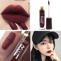 cherry ox blood matte mist lip gloss lip glaze beauty makeup products
