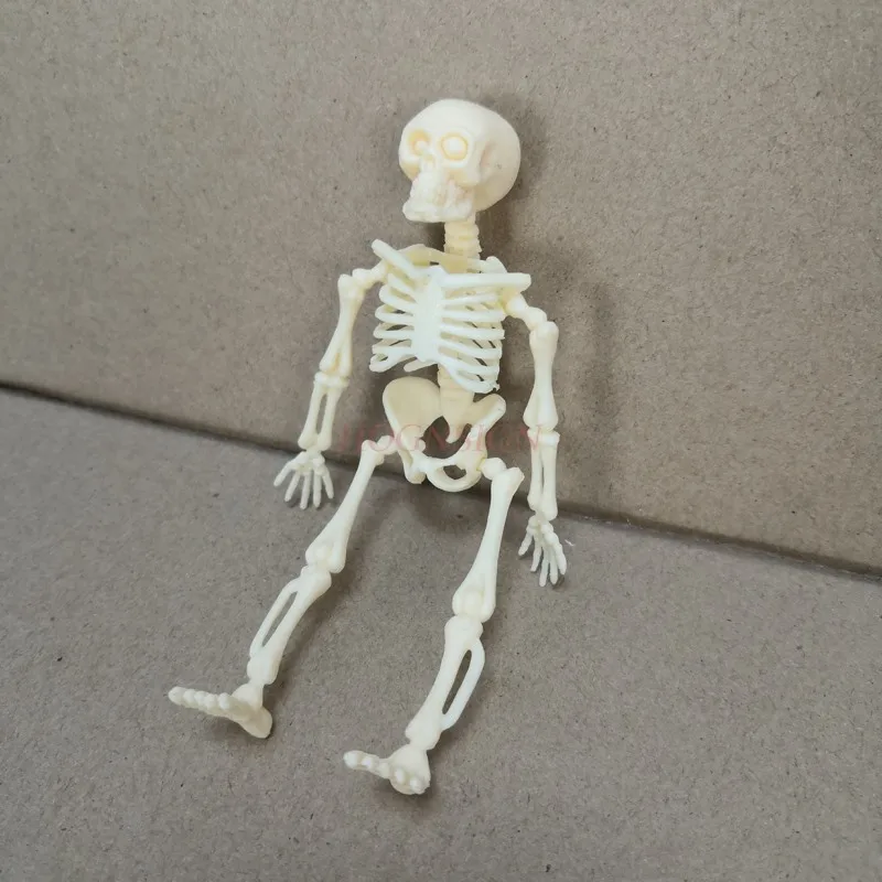 

Orthopedic Model Human Big Skeleton Model Skeleton Skeleton School Teaching Supplies Elementary School Junior High School