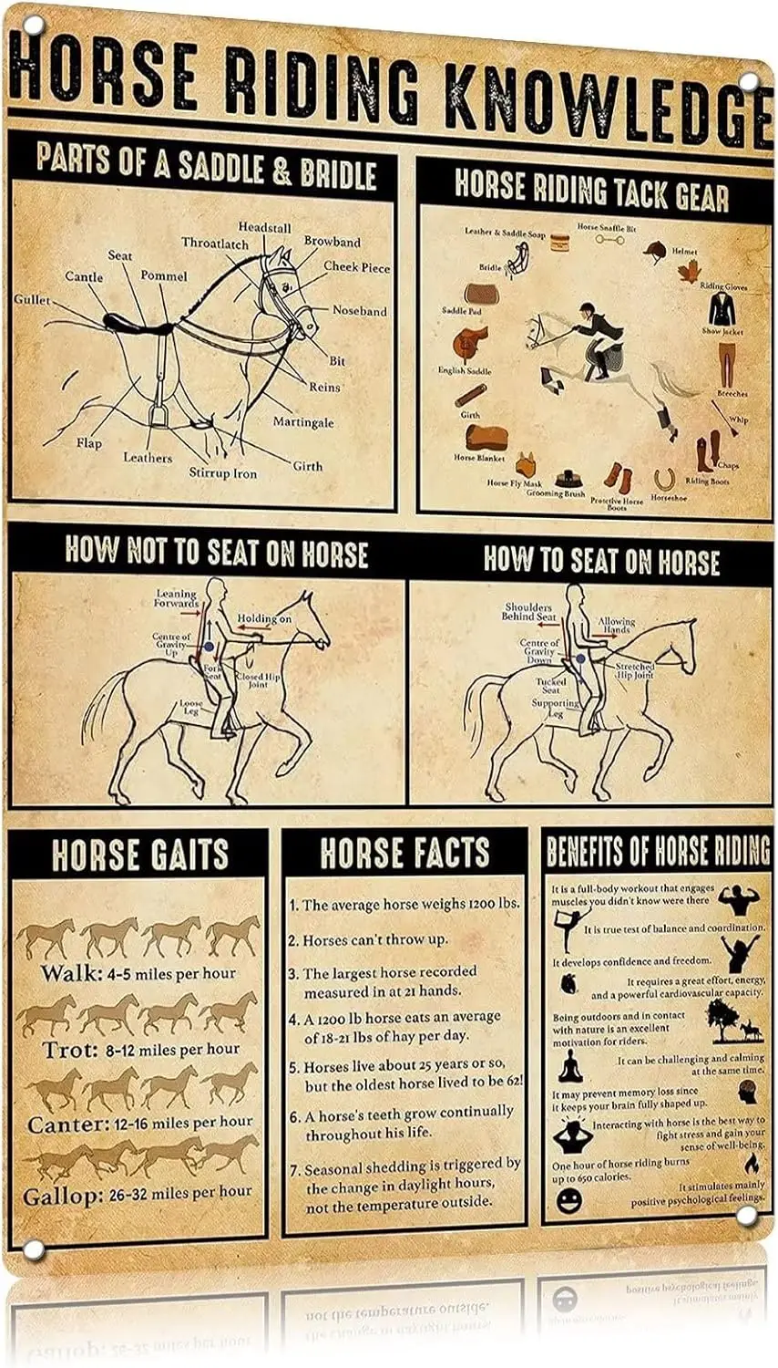 FEBOW Vntge Metl Tn Sgn nfogrphc Plque Scence Poster Horse Rdng Знание для школы Ktchen Decor Домашний декор Kds Educton