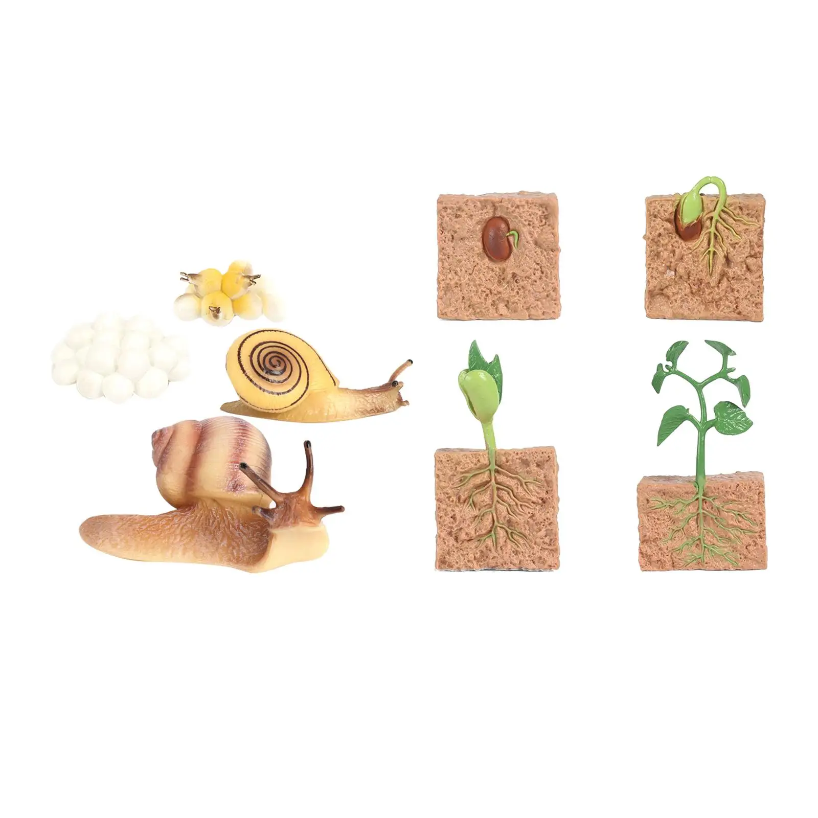 4x1 комплект игрушек из жизненного цикла курицы и семян для детей дошкольного