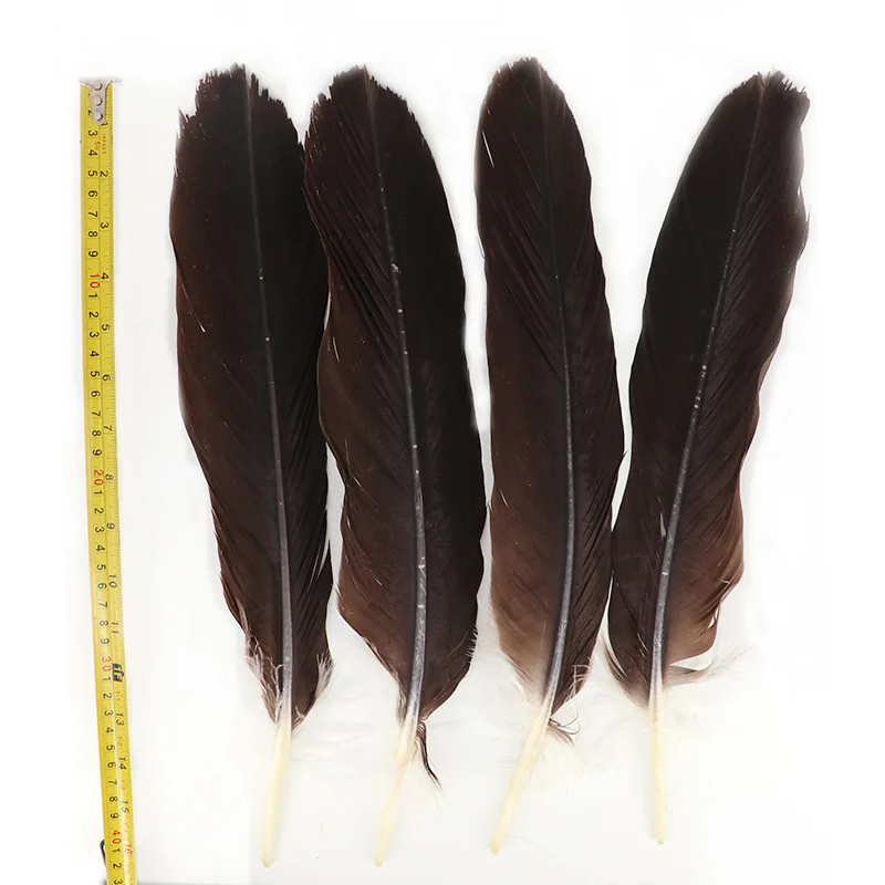 

10 Pcs Natural Rare Eagle Feathers for Crafts Length 30-40cm/12-16 Inch DIY Hawk Feather Ornament Decoration