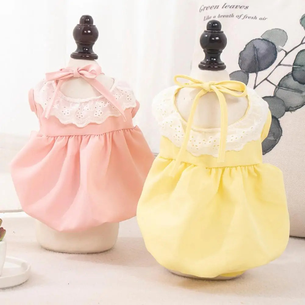 

Летняя одежда для собак и кошек яркого цвета