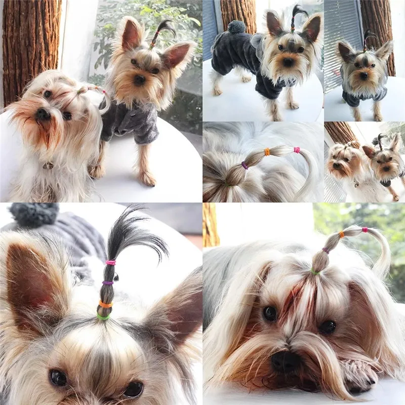 300pcs High Elasticity Pet Hair Rubber Band Dog Cat Hair Accessories DIY Hair Bows Grooming Hairpin Accessories Children Toys images - 6