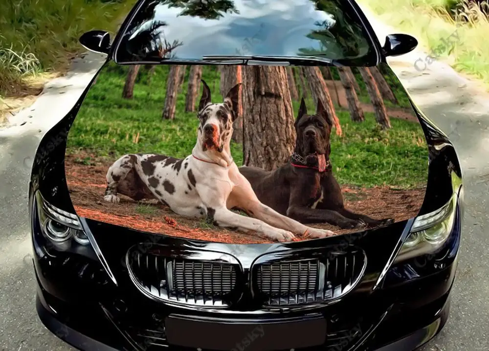 

Great Dane Dogs Car hood vinyl stickers wrapped PVC film hood decals stickers general car modified hood protection stickers