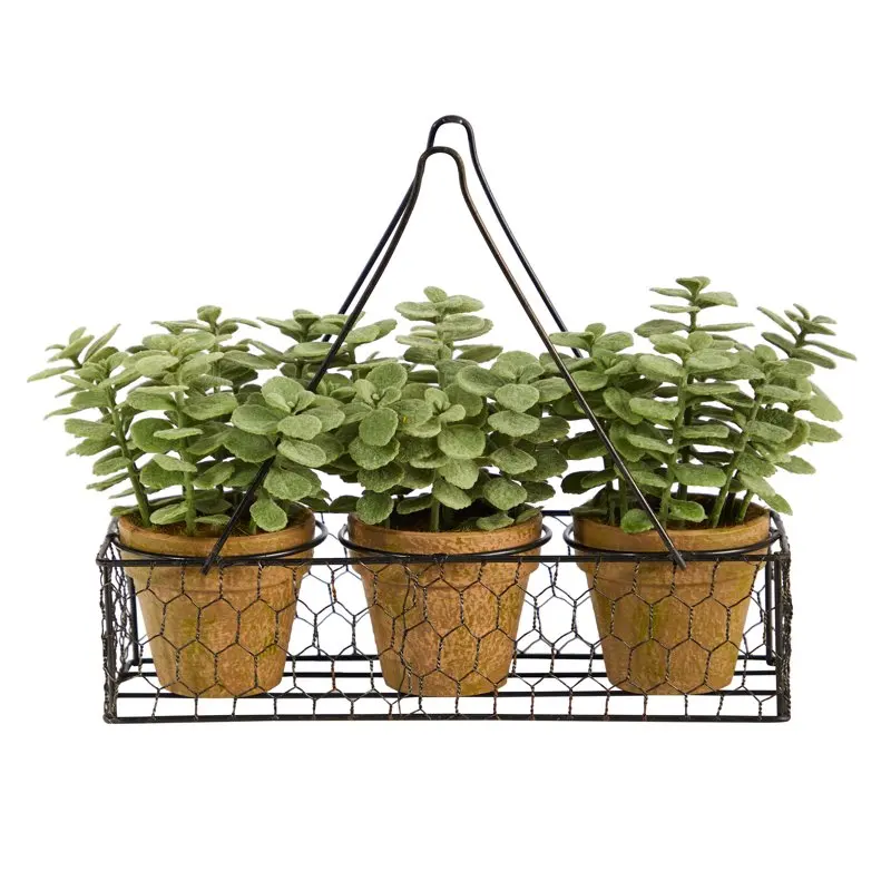 

Mini Jade Garden Artificial Plant in Hanging Planter