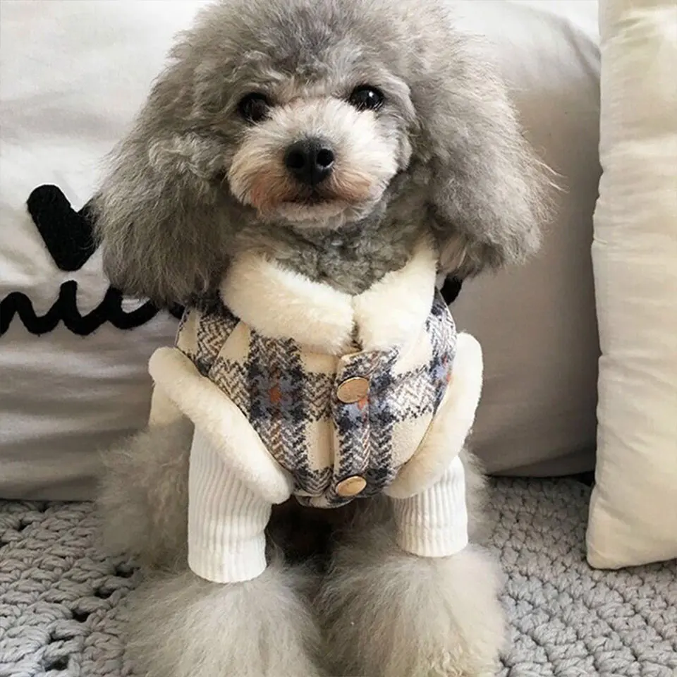 

Plaid Coat Pet Dog Clothes Dog Winter Warm Clothes Thick Plush Jacket Coat for Small Dog Chihuahua Yorkie Teddy Clothes