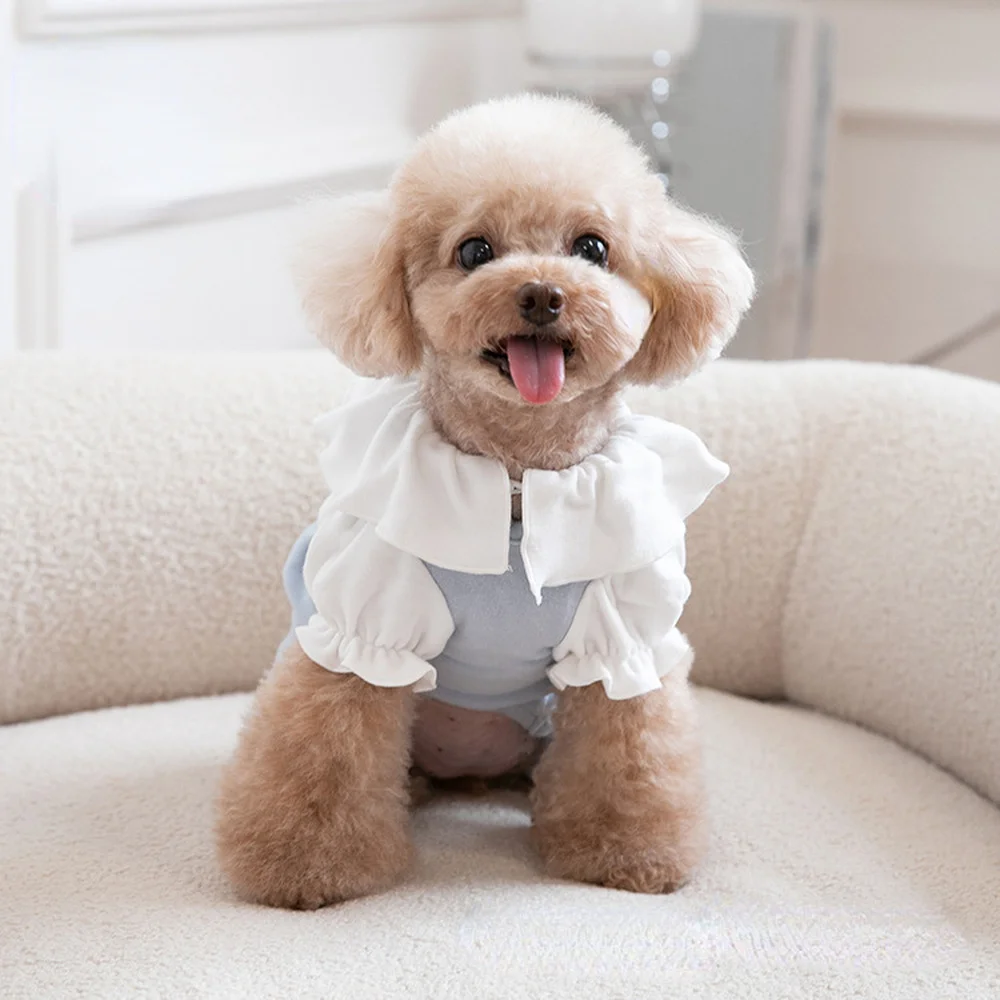 

Цельная детская одежда для домашних животных, фонарик с рукавами, фонарик, Бишон, одежда для собак, кошек и собак, пальто