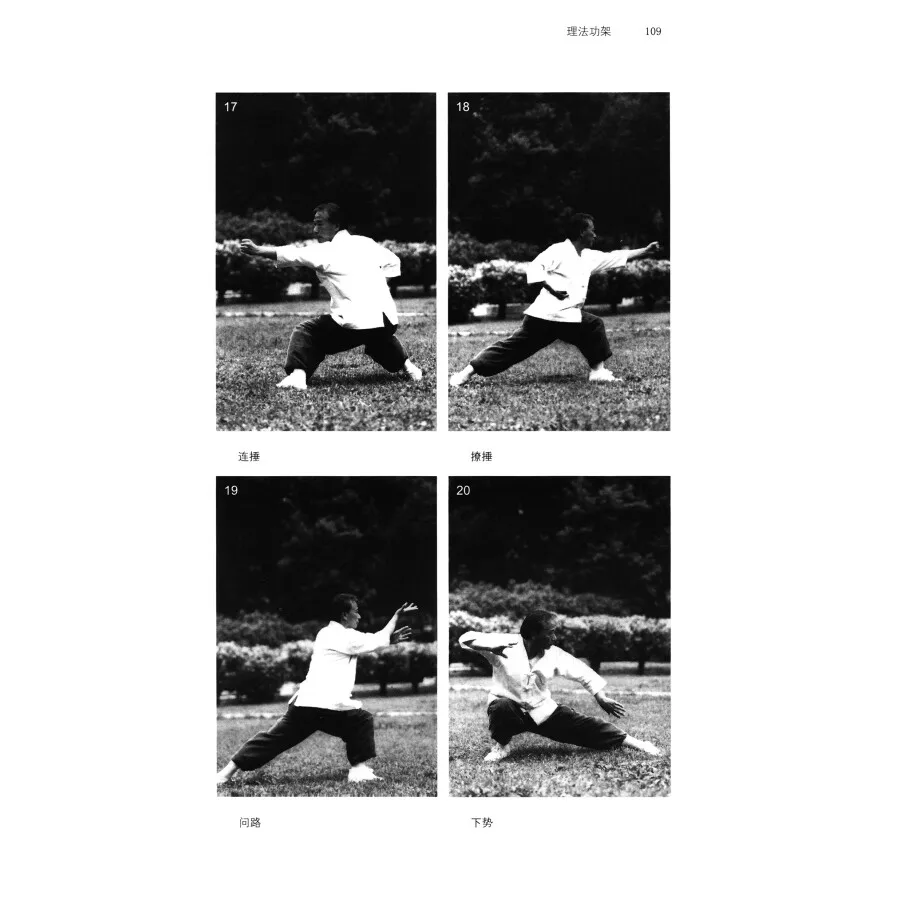 Фото Традиционная книга с восьмиполюсным кулаком Ba Ji Quan Ba Ji Xin Fa китайское кунг-фу вушу боевое искусство №4
