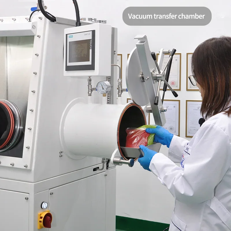 Мини-вакуумный насос перчаточный ящик с системой очистки газа H2O и O2 1PPM