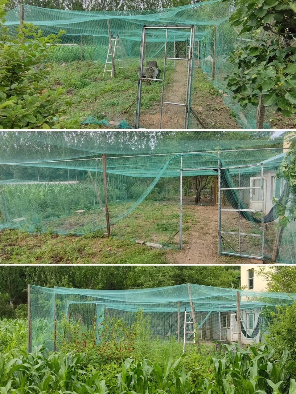Nylon Protective Net Intercept Fawn Bird Cat Dog Chicken Garden Fruit Tree Vineyard Enclosure Network 1x10m 1x20m 1x50m