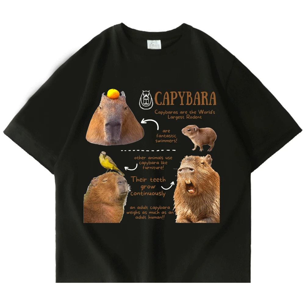 

Capybara Fun Facts Classic T-Shirt Men Women Cartoon Capybara T Shirt Streetwear Hip Hop Funny Tshirts Men Women Tops Clothing