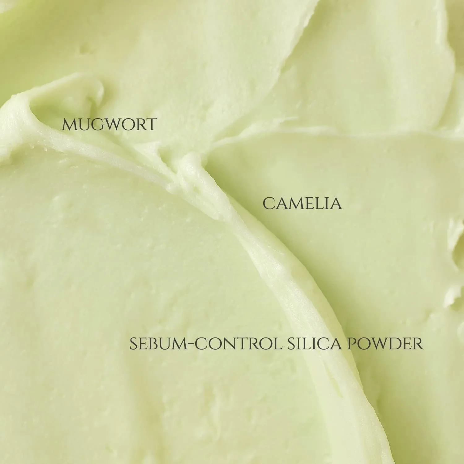 Bastão De Sol Fosco: Artemísia + Camélia (18 г 0 63 жидких унций) Fps 50 PA