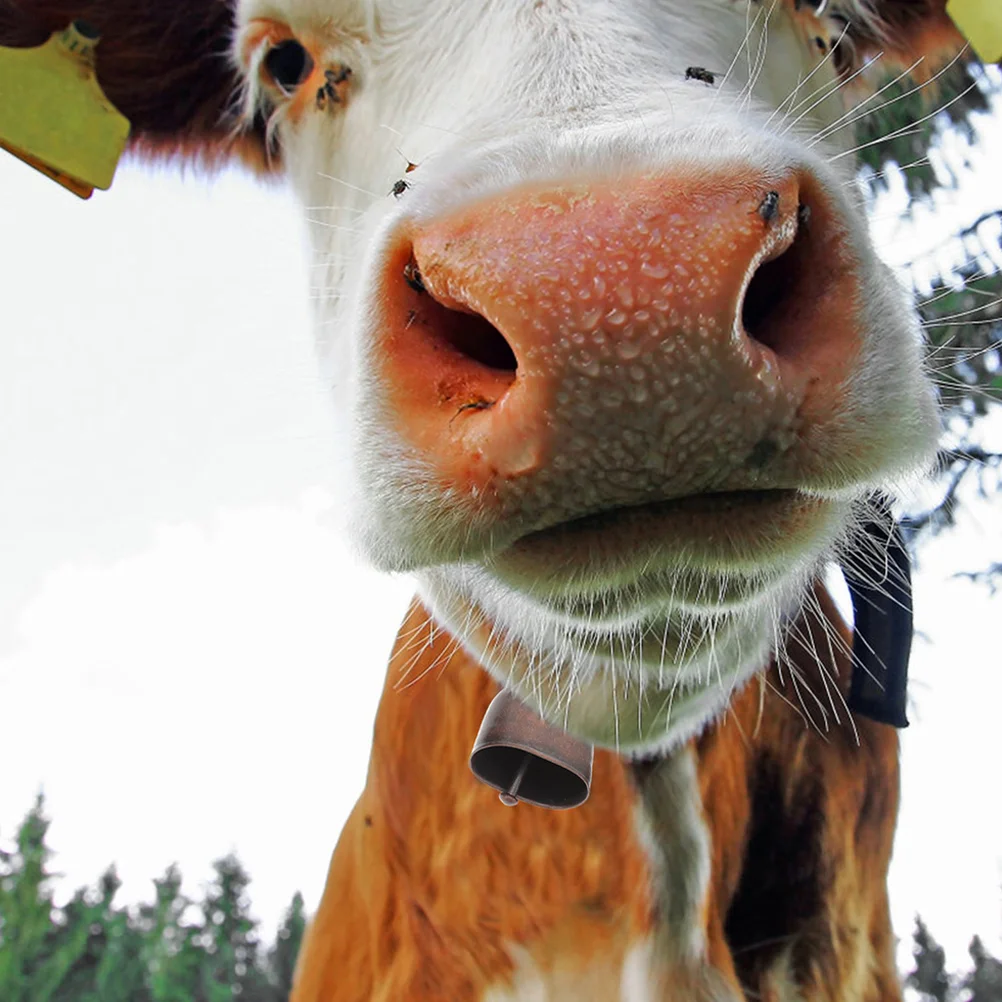 6 шт. металлические колокольчики винтажные большое кольцо в деревенском стиле