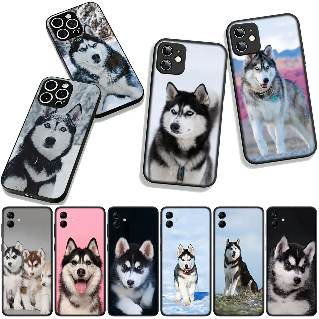 Фото Чехол для телефона Lovely Husky Dog Funny для Apple iPhone 17 16 11 Pro XS Max XR 6 7 8 Plus 16E SE 2020 Air 5 SE2, гибкий чехол №5