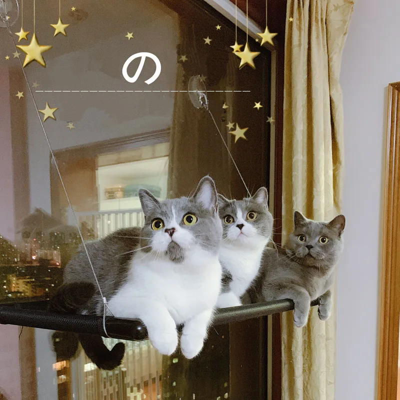 

Hammock Cat for Window Pet Supplies Sucker Four Seasons Universal Cat Hammock Removable Washable Cat Nest Pet Beds and Furniture