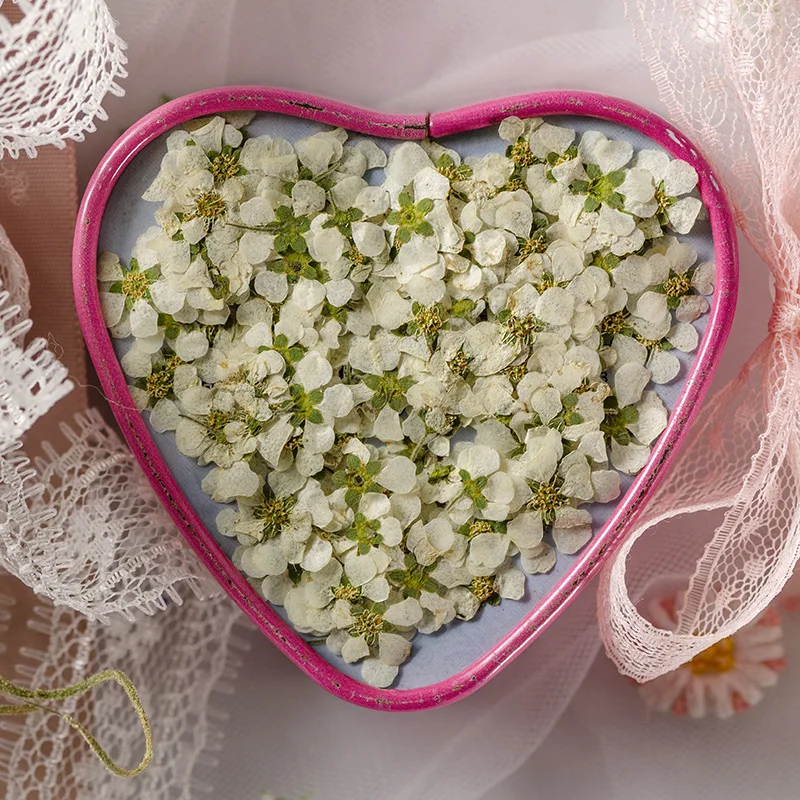 Цветочный гербарий для дизайна ногтей