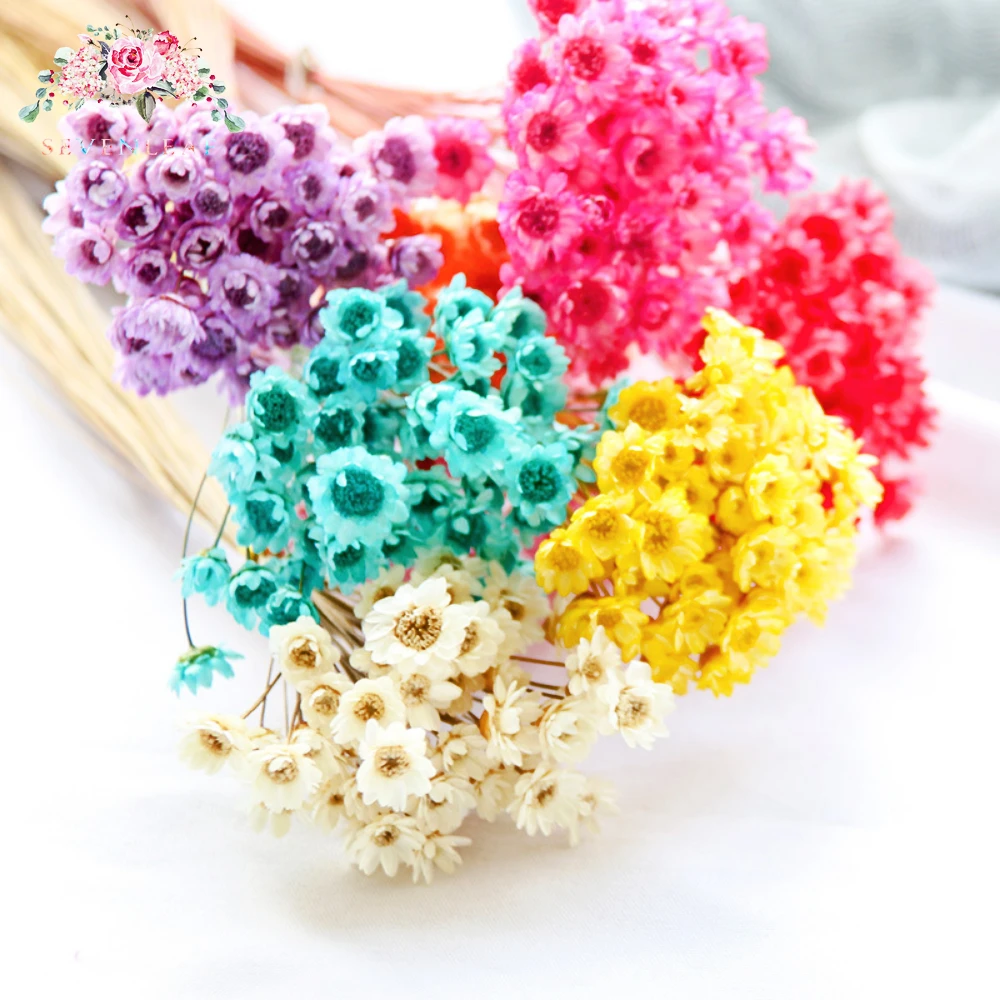 

50PCS Dry Brazilian Little Star Flower Real Bouquet Dried Hydrangea Flowers Art Garden Decor DIY Wedding Decoration Accessories