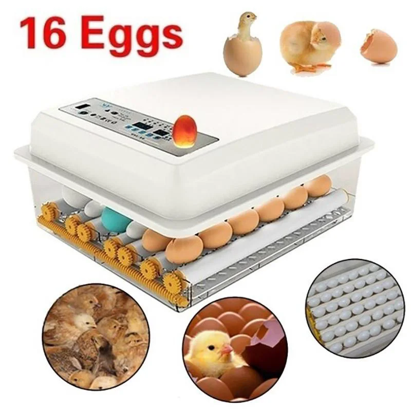 

Bird Egg Incubator Eggs Farm/household For Multifunction Duck Quail Supplies System 16 Chicken Control Incubator Automatic Goose