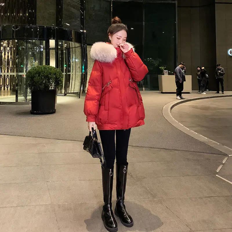 

Cotton-Padded Women Ins Winter Coat Ladies Cotton-padded Short Bread Clothes All-match Foreign Style Small Padded Jacket Q638