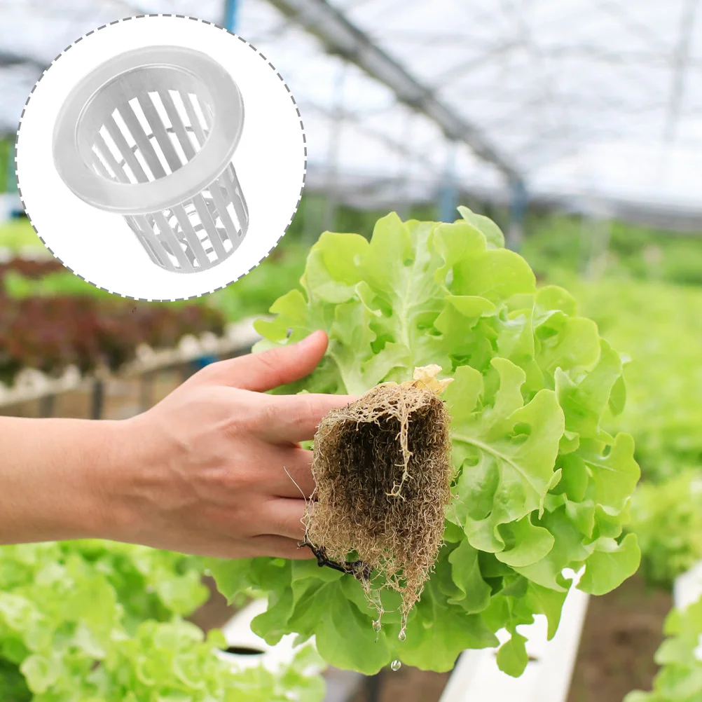 

50pcs Garden Germination Cups Soilless Cultivation Cup Hydroponics Growing System Mesh Net Cups