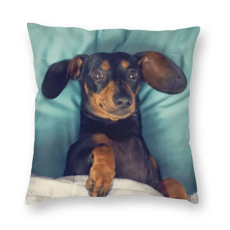 

Dachshund Cushion Cover 45x45 Decoration 3D Print Badger Sausage the Wiener Dog Throw Pillow Case for Sofa Two Side
