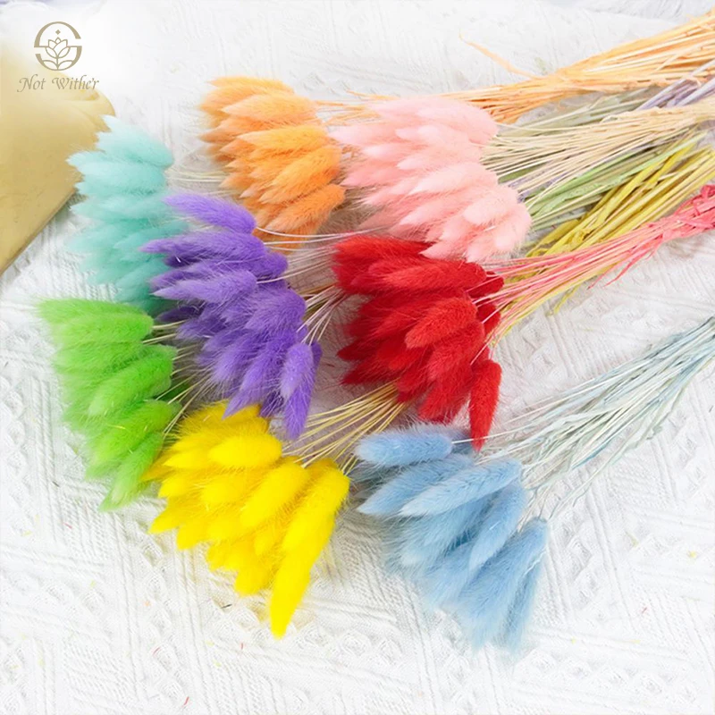 

60pcs Dried Flower Rabbit Tail Natural Preserved Flowers Boho Home Decor Country Wedding Decoration Tables Ornament Holiday Gift