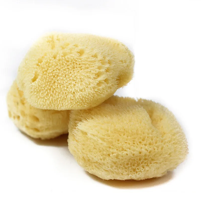 Natural Greek Sponge Watercolor Painting with Absorbent Sponge Wiping Pen Painting Special Texture Production Cleaning Tool
