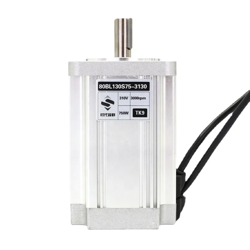 

Высокоскоростной бесщеточный двигатель постоянного тока 3000 об/мин 750 Вт 310 в bldc для домашнего использования