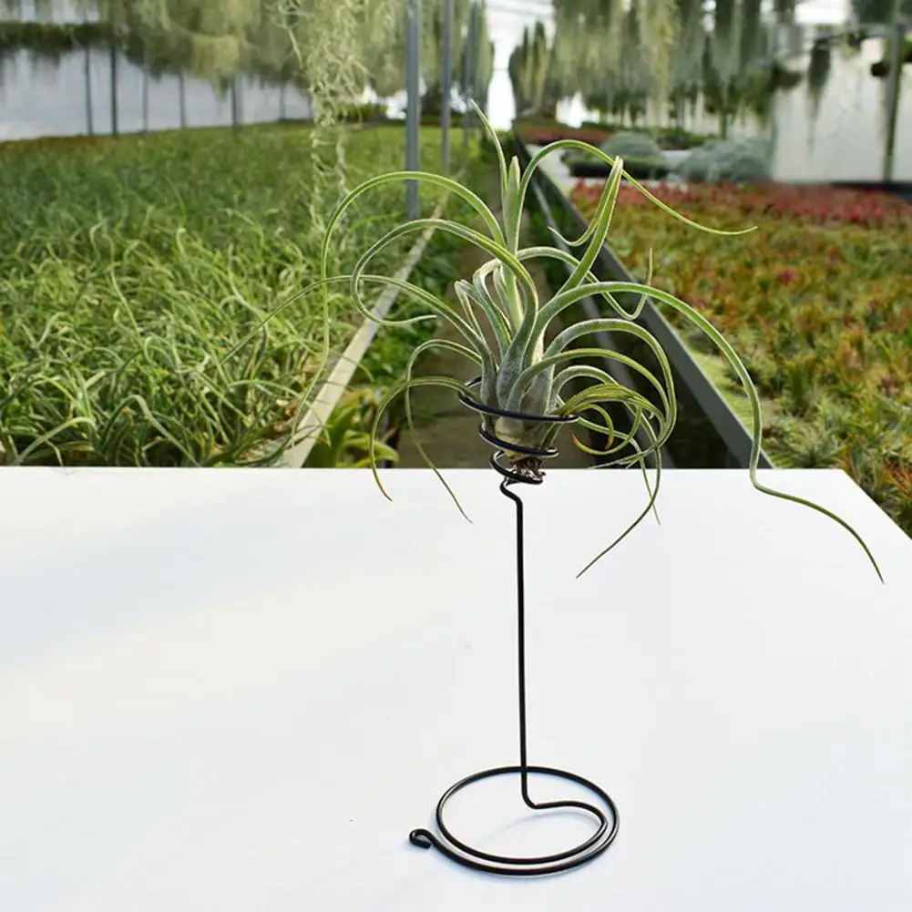 

Practical Plant Rack Iron Art Flower Stand Hollow Out Indoor Table Plant Rack Air Grass Display Stand Supportive