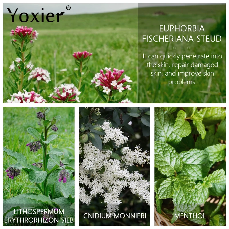 Herbal Natural Moisturizing Cream Nourishing Repairing Soothing Delicate Refreshing Improving Rough Skin Care 20G * 3PCS