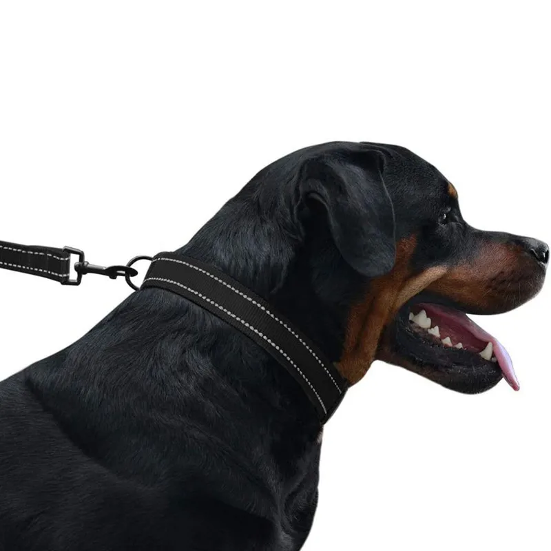 Шлейка ferplast ergotrekking. Шлейка comfy harness. Шлейка petra 60 ездовая. Правильная шлейка для собаки. Человек одевает ошейник на собаку.