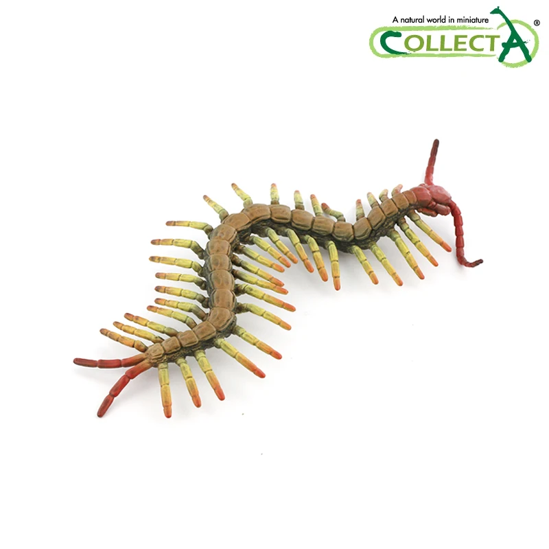 

CollectA Insects Centipede Animals Model classic toys for boys 88885