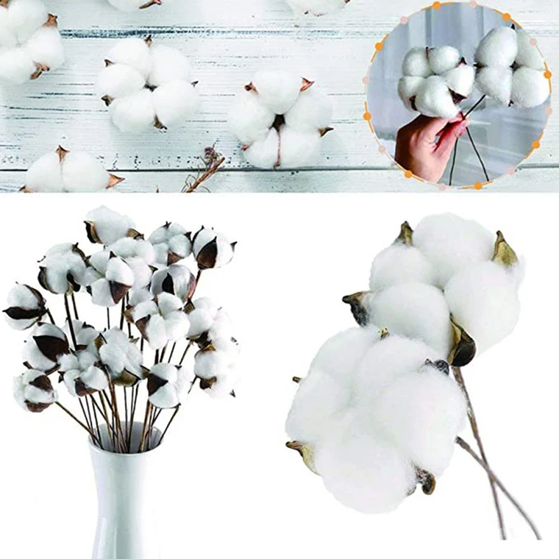10 шт. Натуральные Сушеные хлопковые цветы искусственные букет подружки невесты