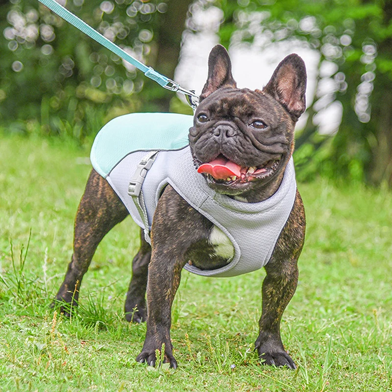 

Светоотражающая быстросъемная одежда для домашних питомцев, крутая летняя куртка для собак, охлаждающий жилет для маленьких и средних соба...