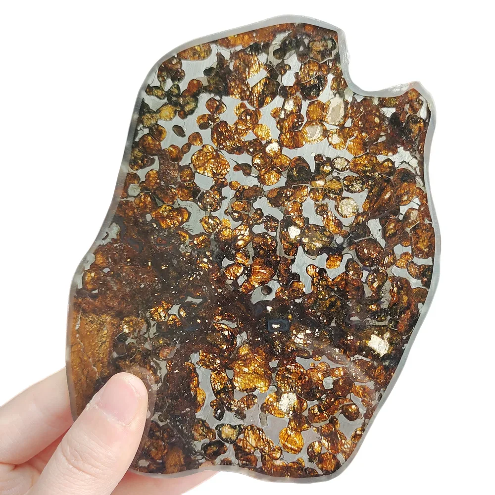 Kenya Olive Meteorite Sericho Оливковый метеорит Срез натурального метеорита Образец